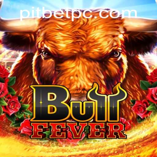 Introducing BullFever: The Thrilling World of PitBet